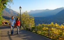 Passeggiata Falkner - Tirolo presso Merano