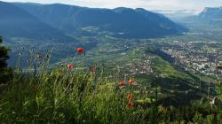 Dorf Tirol Dorf Tirol