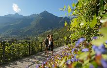 Tappeinerweg in Meran